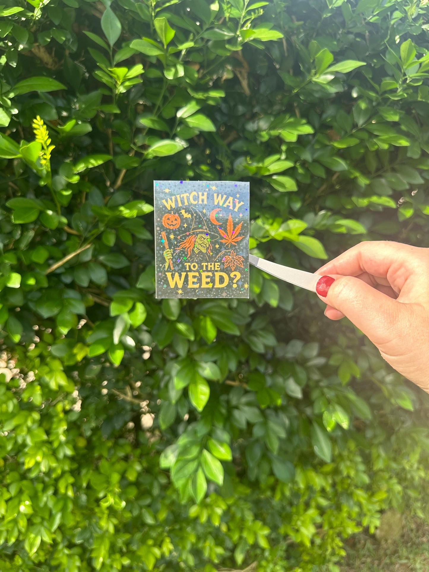 Funny Adult Sticker for Stoners, “witch way to the weed?” Holographic cute sticker, Halloween theme funny decal for journaling and laptops