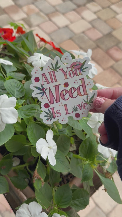 Holographic Valentines Stoner Sticker, Cute Cannabis Decal, All You Weed Is Love Sticker, Valentines stoner gift for her, Stoner Gifts,