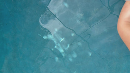 Holographic Valentines Sticker Sheet, Cats and Flowers Decal sheets, Funky Waterproof Valentines stickers, Cute Cat Vday Stickers